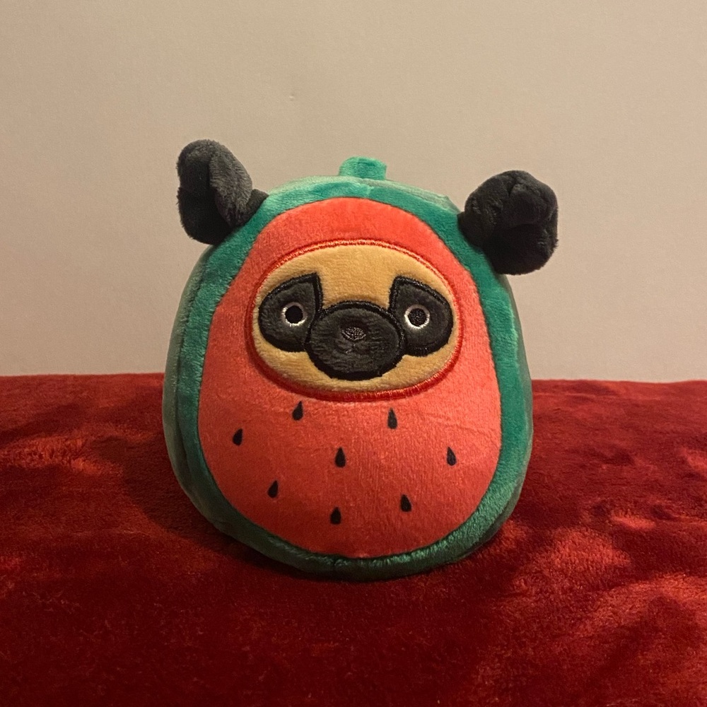 4” Watermelon Dog Squishmallow